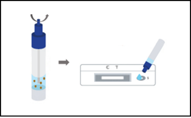 打開樣本收集管末端的蓋子，加兩滴稀釋液到樣品槽(S)上，記錄當下時間。必須使用對應檢測盒的稀釋液(寄生蟲與病毒性檢測盒的稀釋液不能共用)。