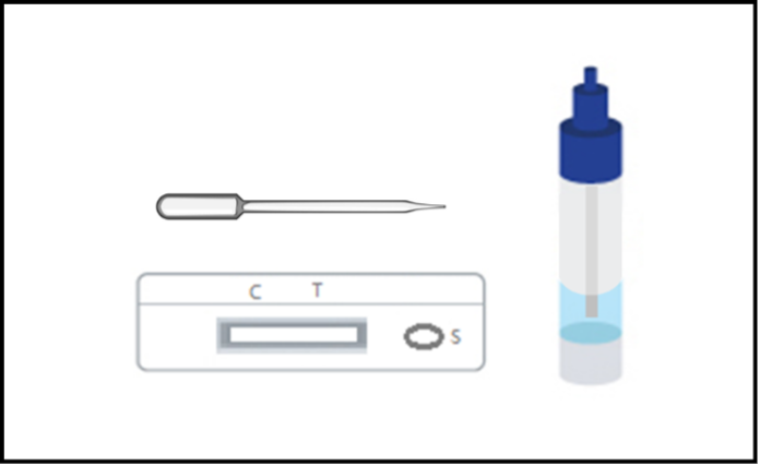 從保護袋中取出測試裝置,將其放在一個清潔的平面上。