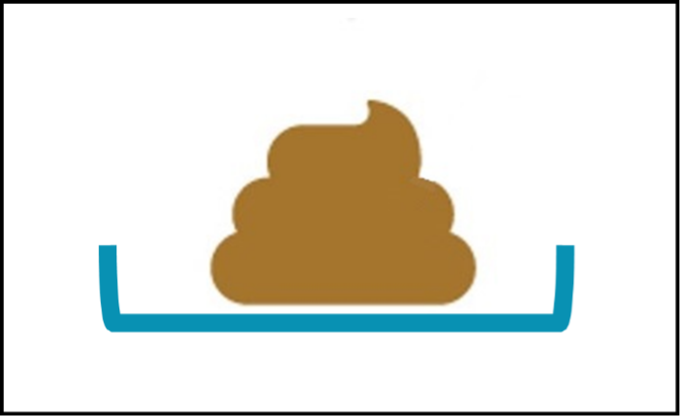 在乾及清潔的容器中採集寵物糞便樣本。