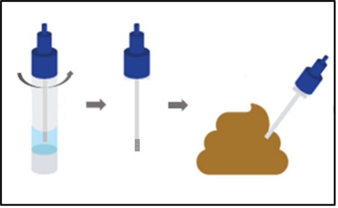 從樣本收集管中取出採樣棒,把採樣棒插入糞便樣本中。